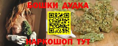 шишки Лесосибирск