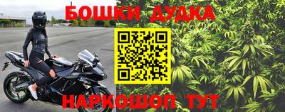 шишки Лесосибирск