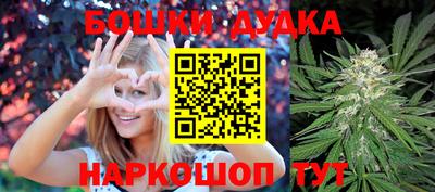 шишки Лесосибирск