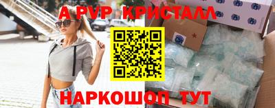 шишки Лесосибирск