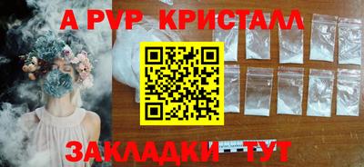 шишки Лесосибирск