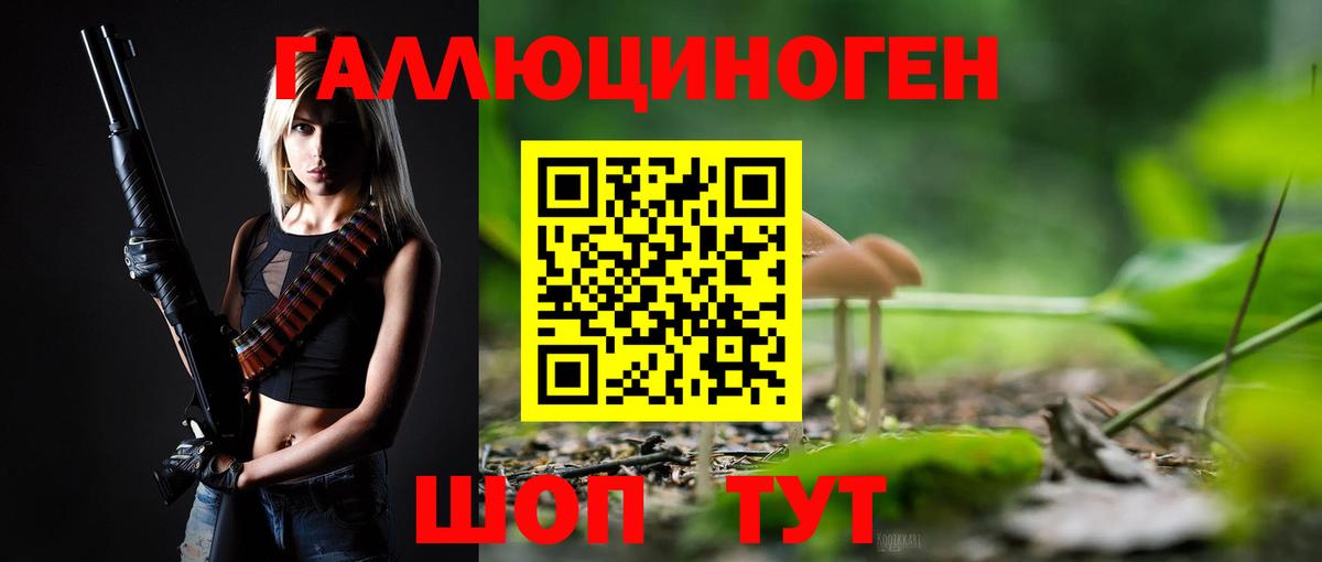 Псилоцибиновые грибы Cubensis Егорьевск
